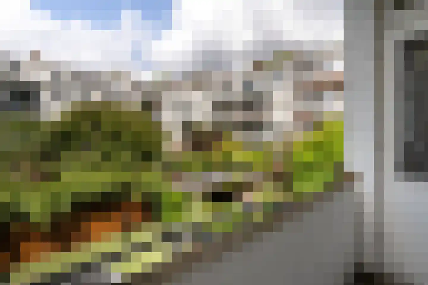 Groeninxstraat 7 A Rotterdam thumbnail 25