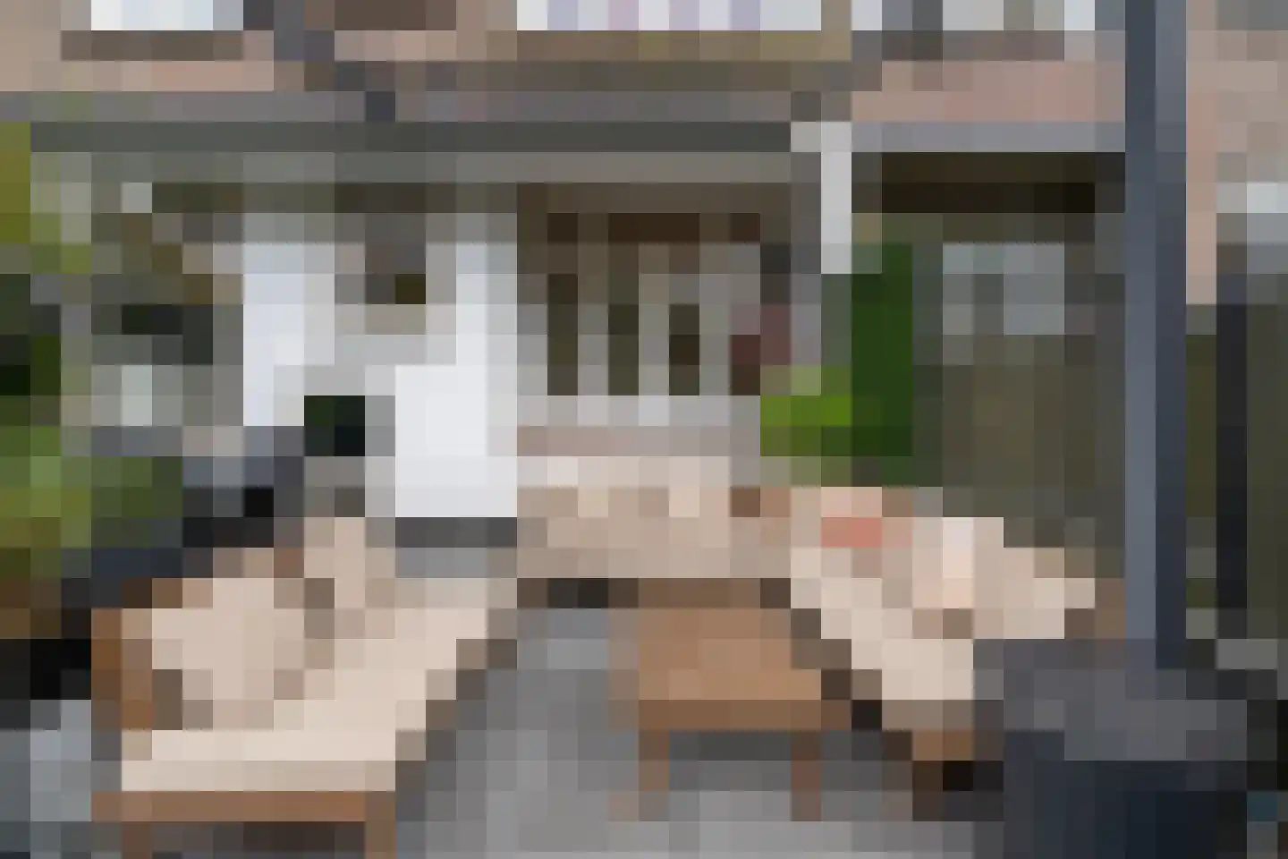 Groeninxstraat 7 A Rotterdam thumbnail 29