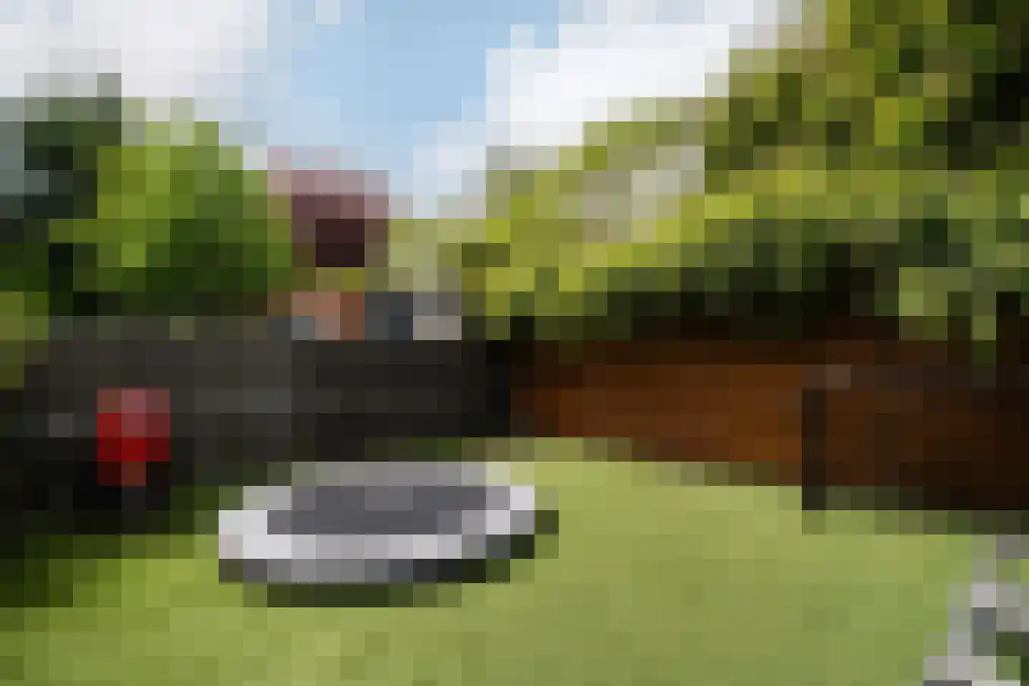 Groeninxstraat 7 A Rotterdam thumbnail 32