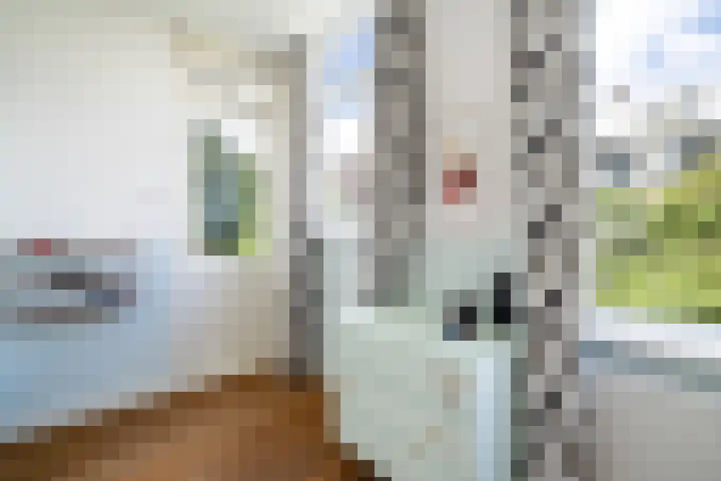 Groeninxstraat 7 A Rotterdam thumbnail 44