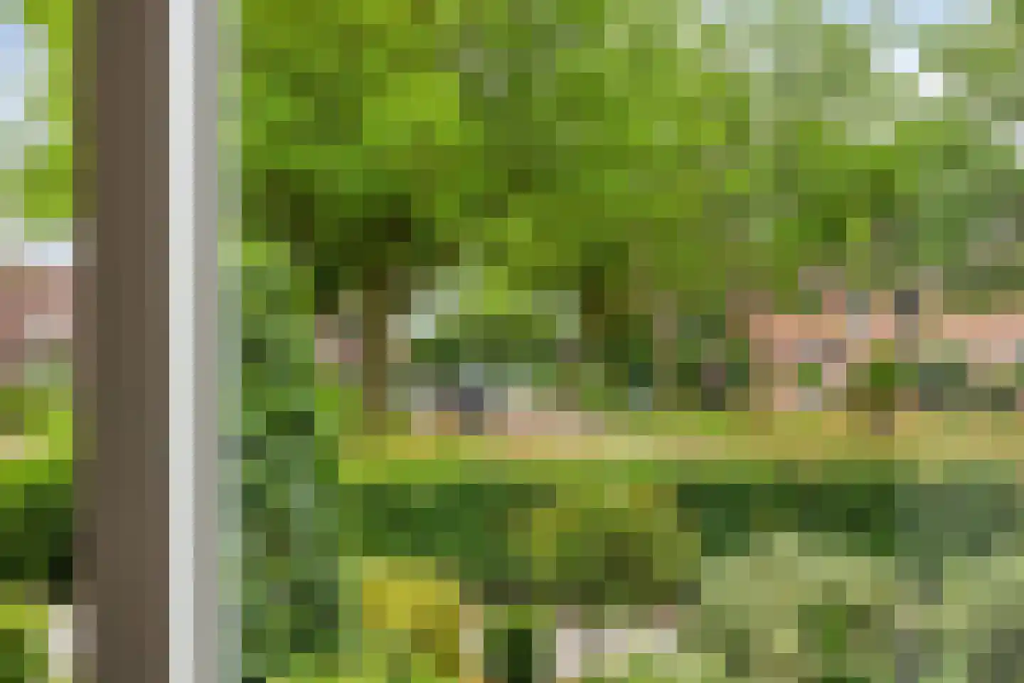 Groenkampen 101 Assen thumbnail 15