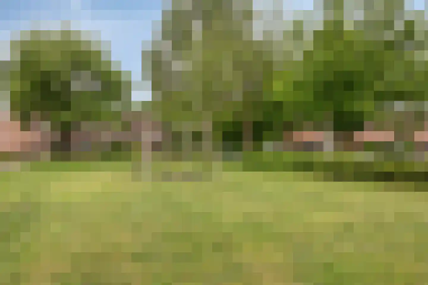 Groenkampen 101 Assen thumbnail 35