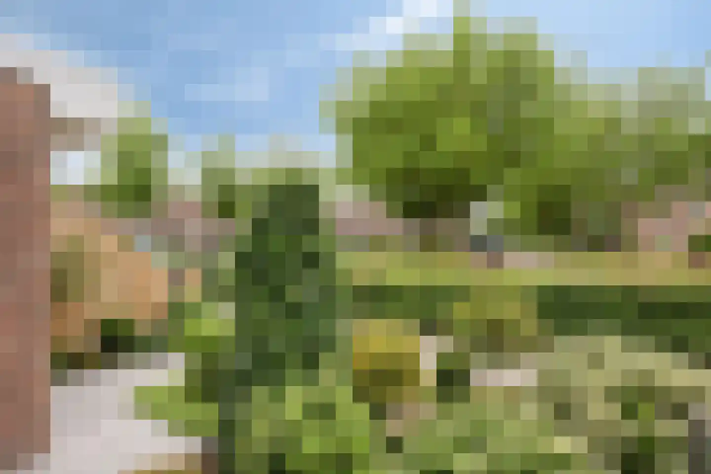 Groenkampen 101 Assen thumbnail 5