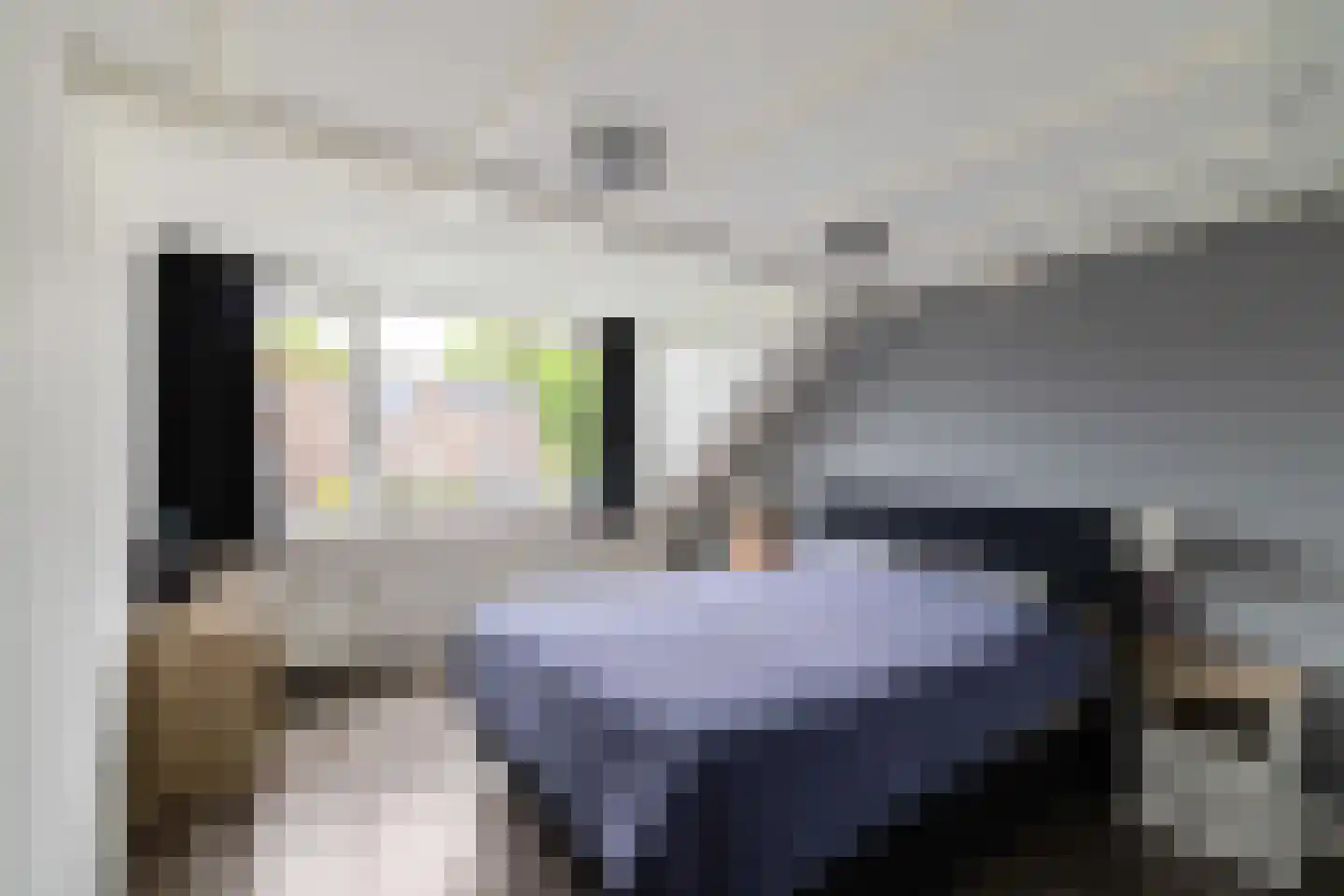 Groenkampen 160 Assen thumbnail 22