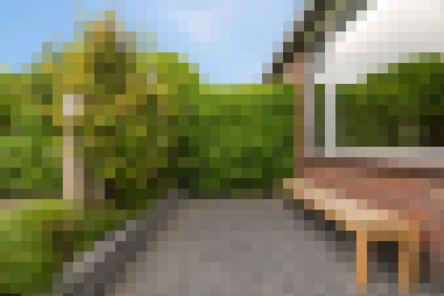 Groenkampen 166 Assen thumbnail 33