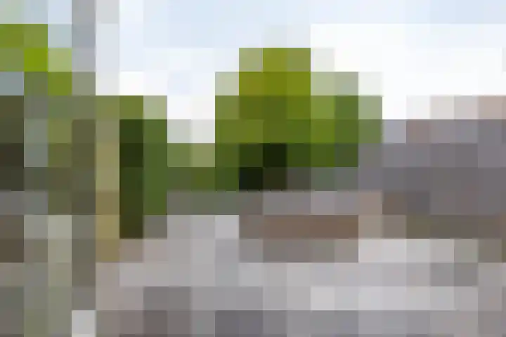 Groenkampen 194 Assen thumbnail 21
