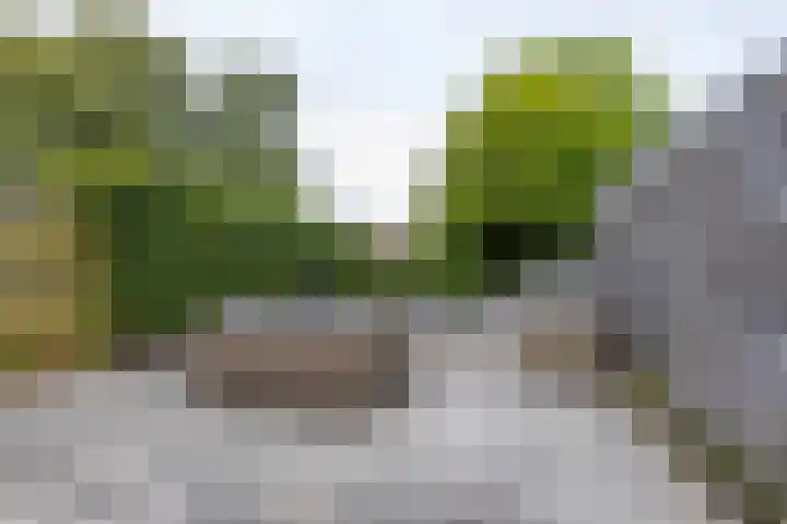 Groenkampen 194 Assen thumbnail 22