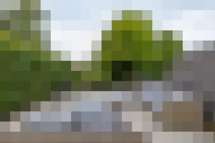 Groenkampen 194 Assen thumbnail 23