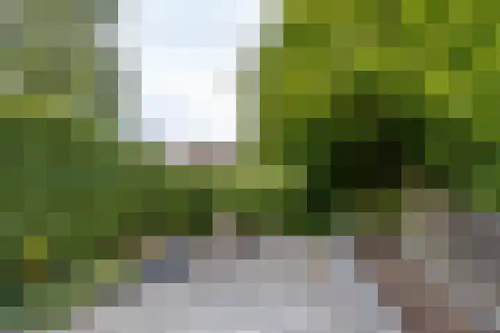 Groenkampen 194 Assen thumbnail 24