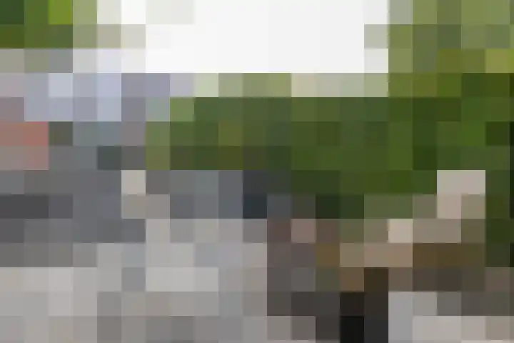 Groenkampen 194 Assen thumbnail 26