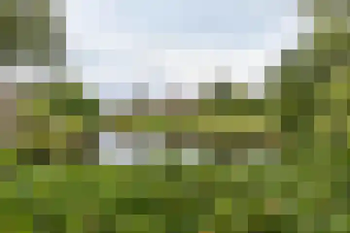 Groenkampen 194 Assen thumbnail 27