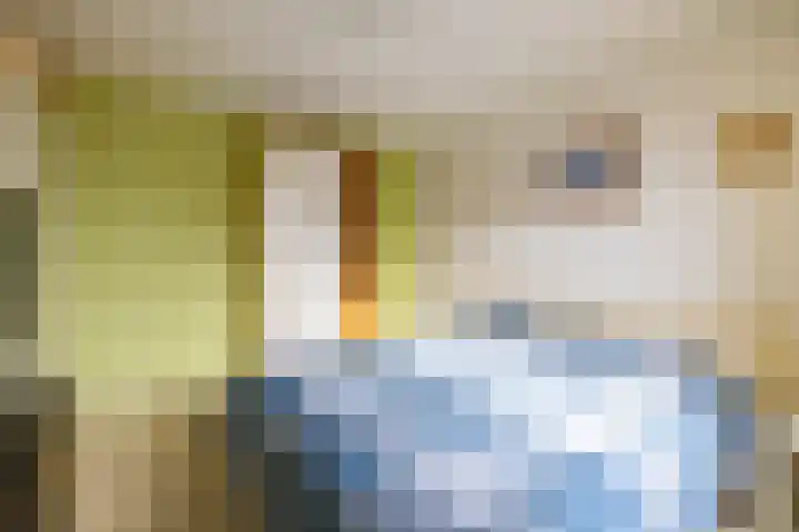 Groenkampen 194 Assen thumbnail 37