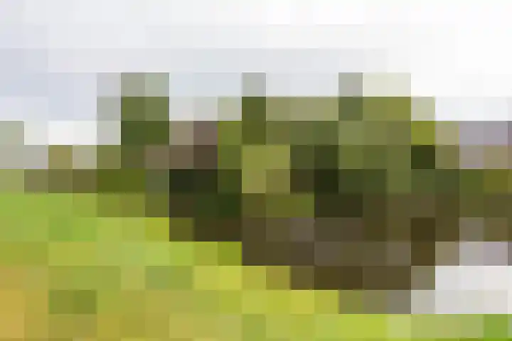 Groenkampen 194 Assen thumbnail 48
