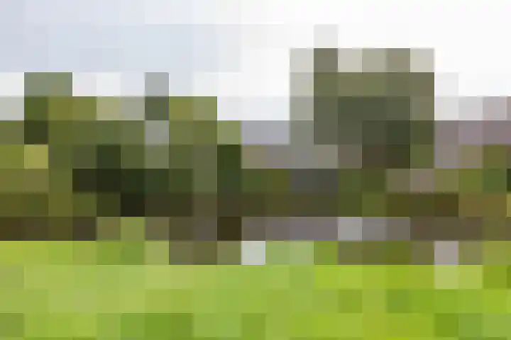 Groenkampen 194 Assen thumbnail 49