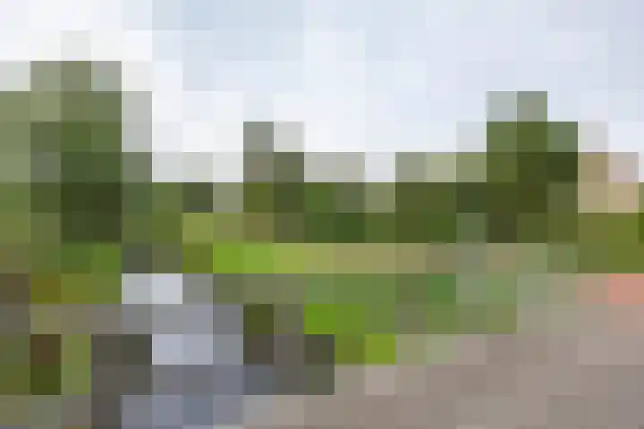 Groenkampen 194 Assen thumbnail 50