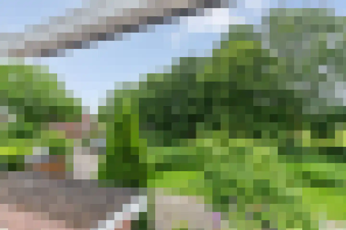 Groenkampen 212 Assen thumbnail 28