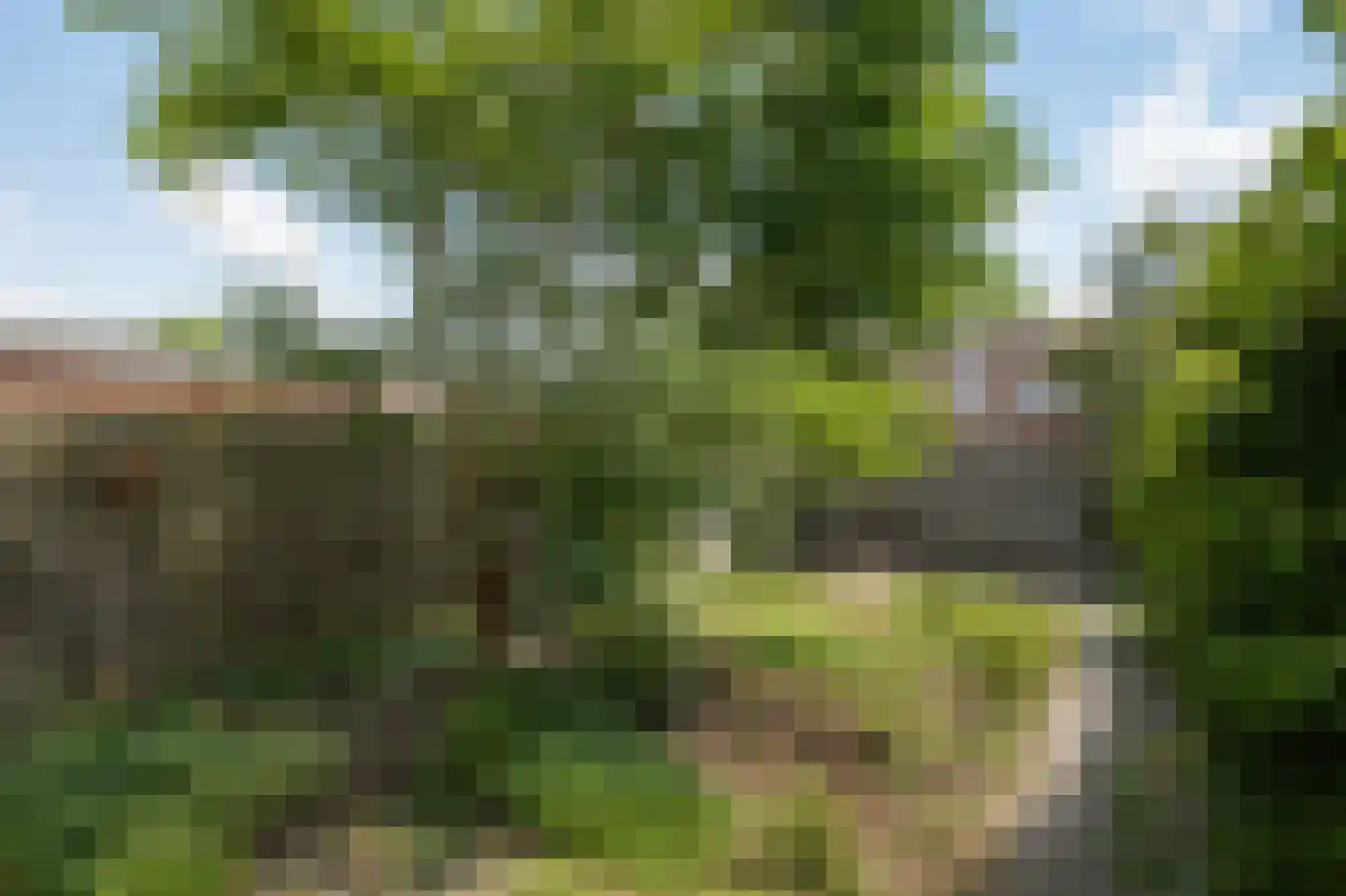 Groenkampen 212 Assen thumbnail 37