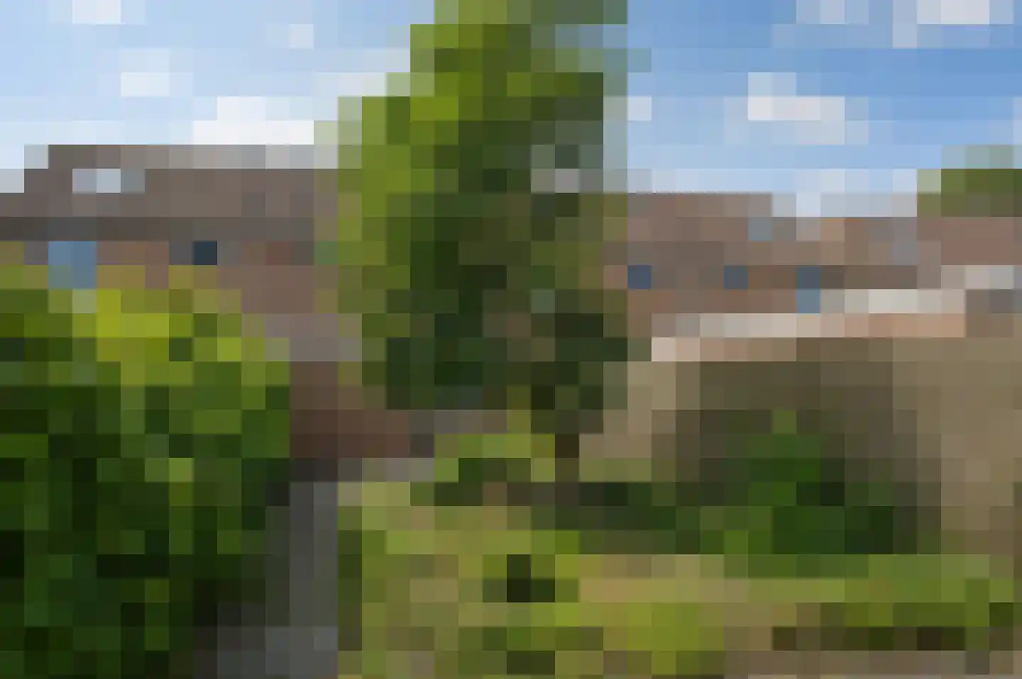 Groenkampen 212 Assen thumbnail 39