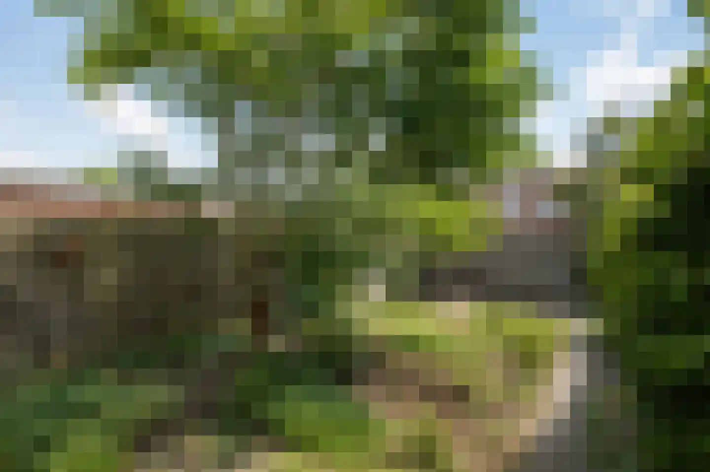 Groenkampen 212 Assen thumbnail 4