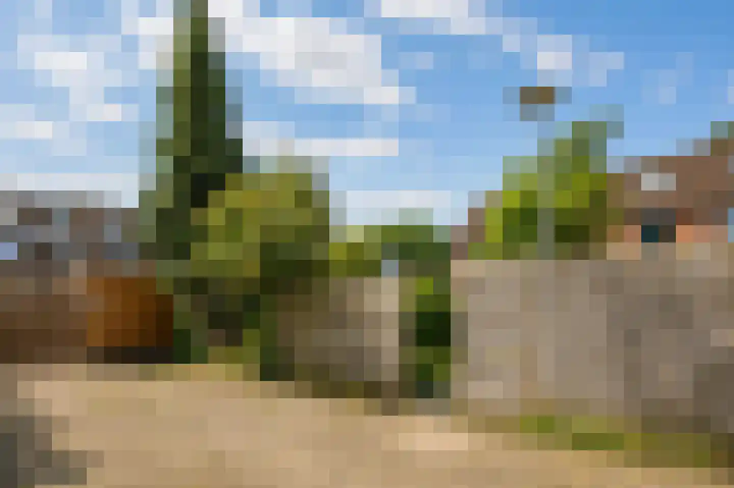 Groenkampen 212 Assen thumbnail 41