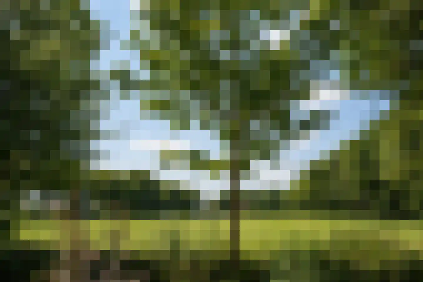Groenkampen 212 Assen thumbnail 44