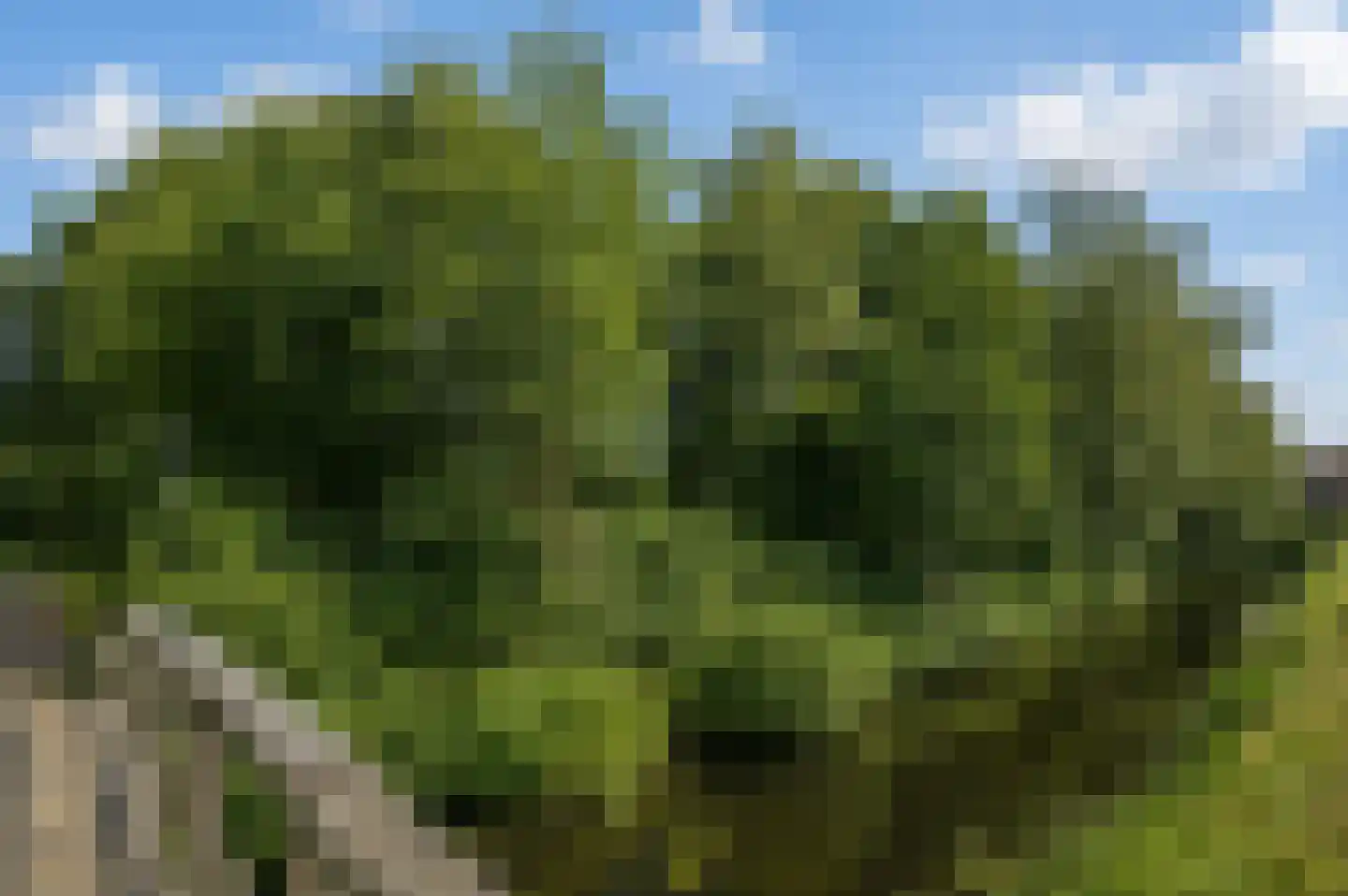 Groenkampen 212 Assen thumbnail 45