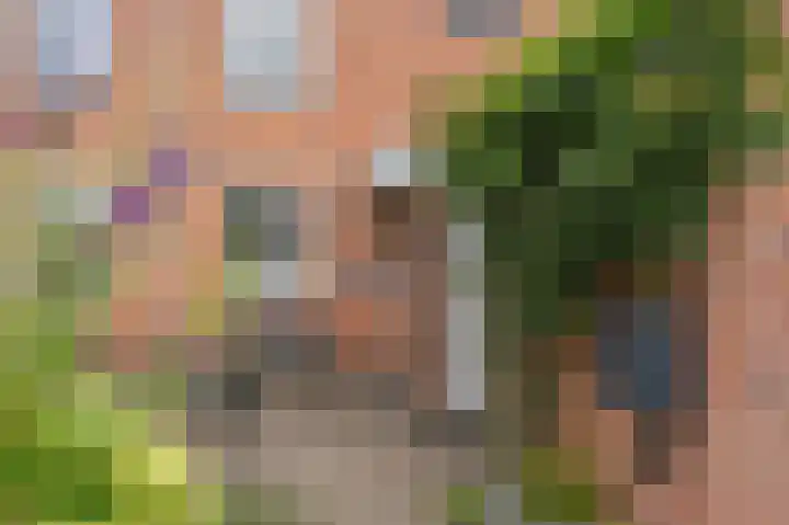 Groenkampen 49 in Assen