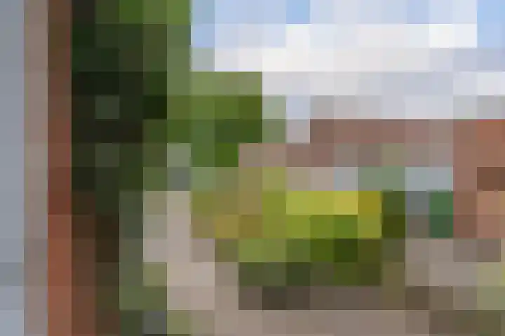 Groenkampen 49 Assen thumbnail 13