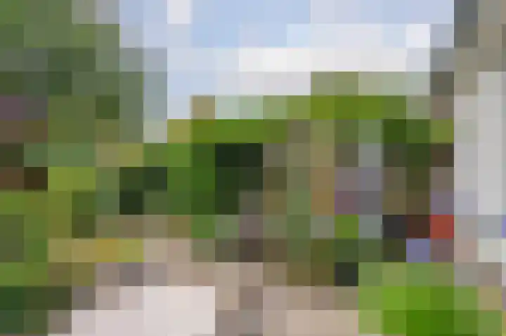 Groenkampen 49 Assen thumbnail 38
