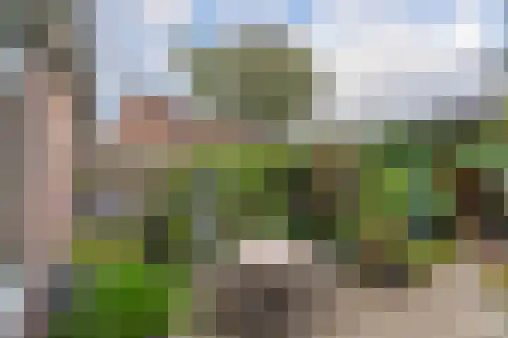 Groenkampen 49 Assen thumbnail 4