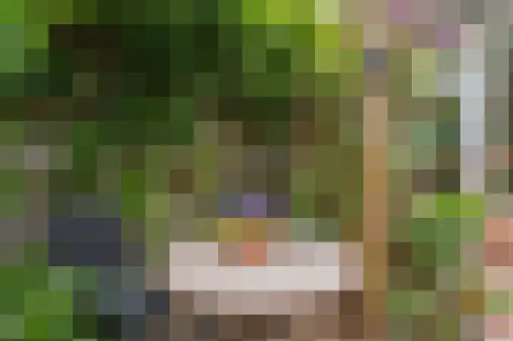 Groenkampen 49 Assen thumbnail 40