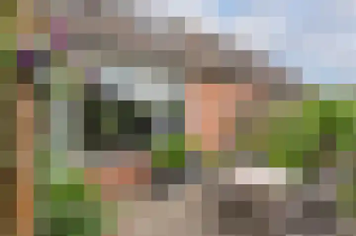 Groenkampen 49 Assen thumbnail 41