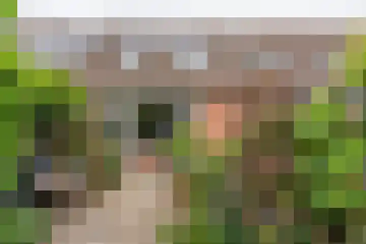 Groenkampen 49 Assen thumbnail 42