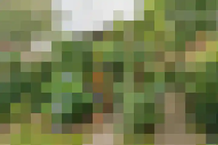 Groenkampen 49 Assen thumbnail 43