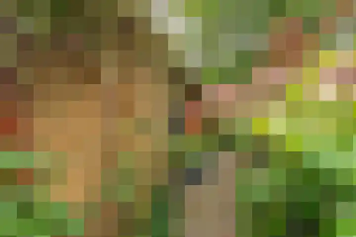 Groenkampen 49 Assen thumbnail 46