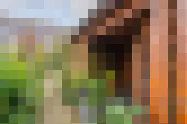 Groenkampen 49 Assen thumbnail 47