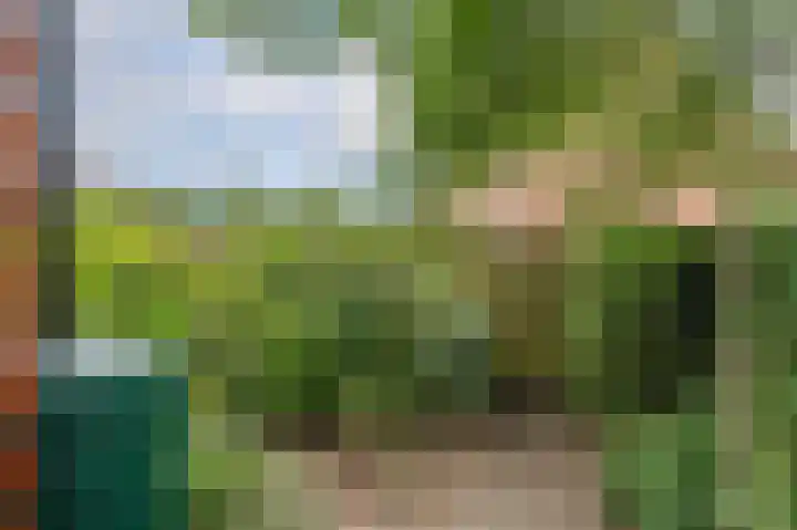 Groenkampen 49 Assen thumbnail 49