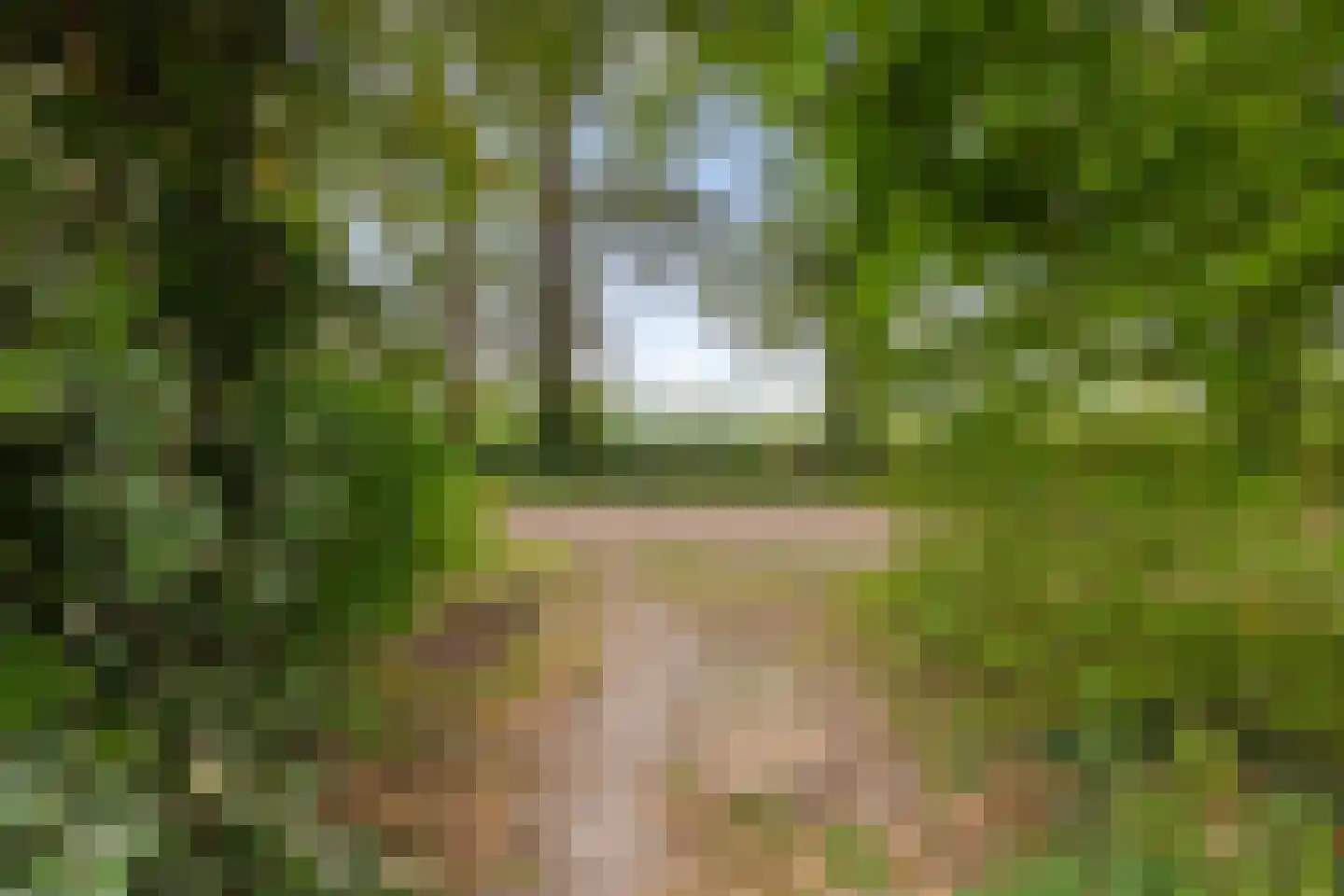 Groenkampen 9 Vries thumbnail 10