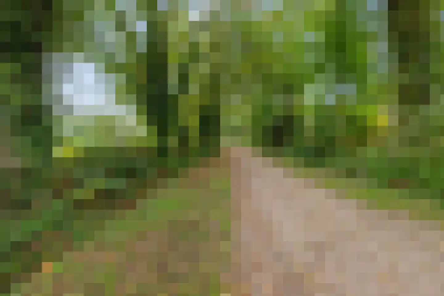 Groenkampen 9 Vries thumbnail 13