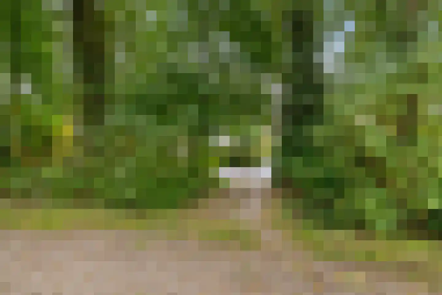 Groenkampen 9 Vries thumbnail 14