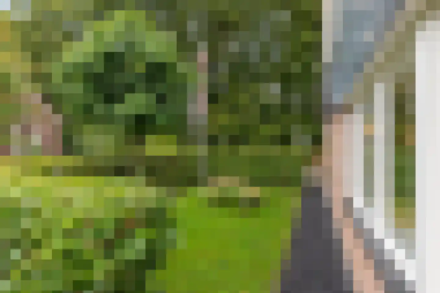 Groenkampen 9 Vries thumbnail 16