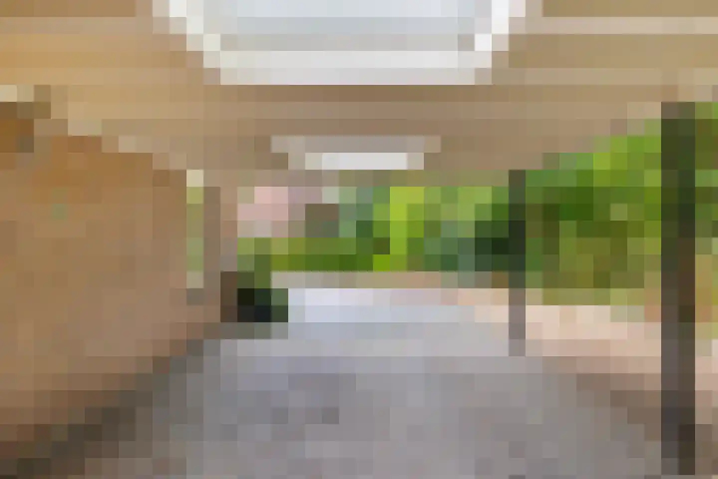 Groenkampen 9 Vries thumbnail 18