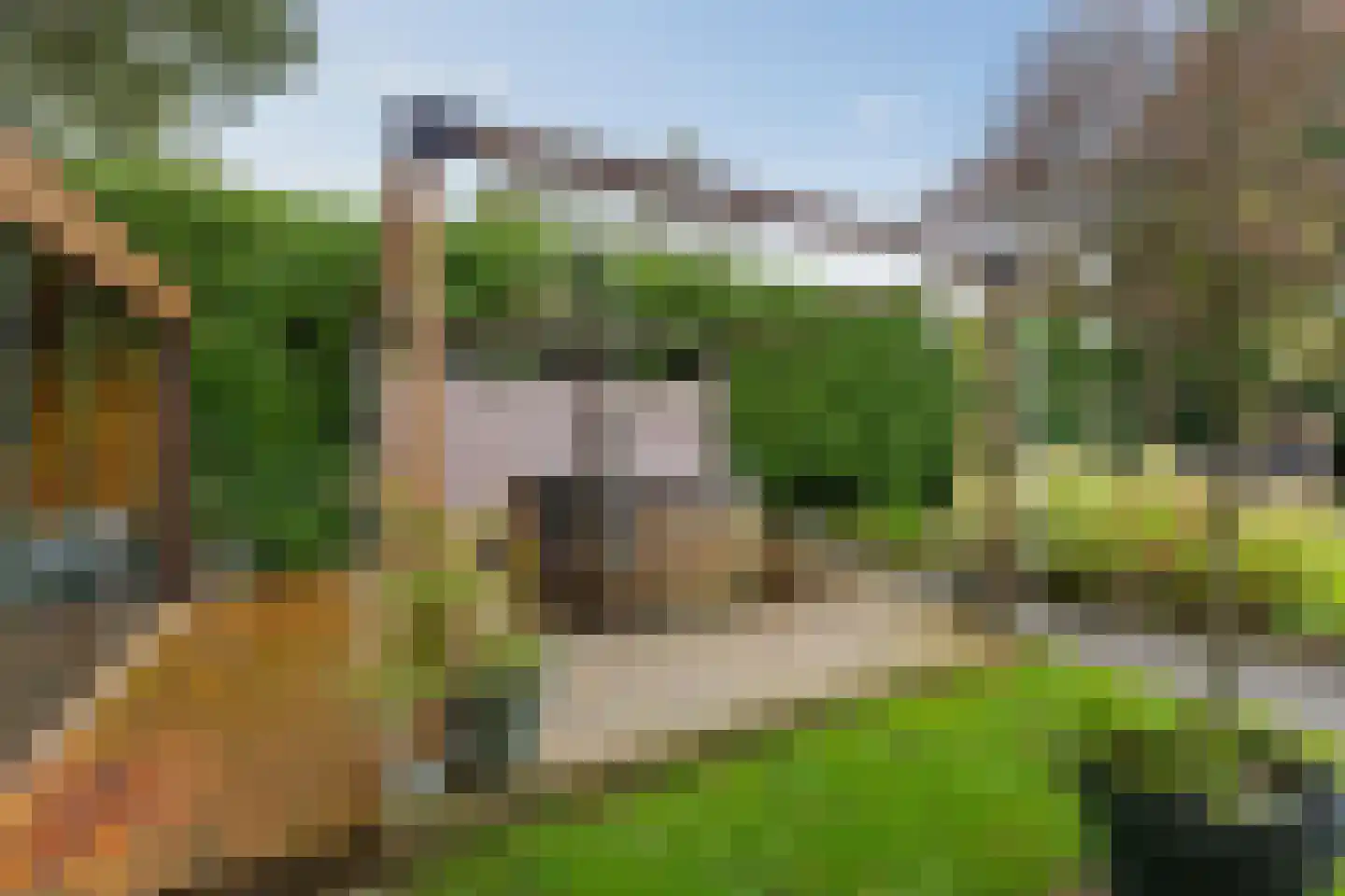 Groenkampen 9 Vries thumbnail 20
