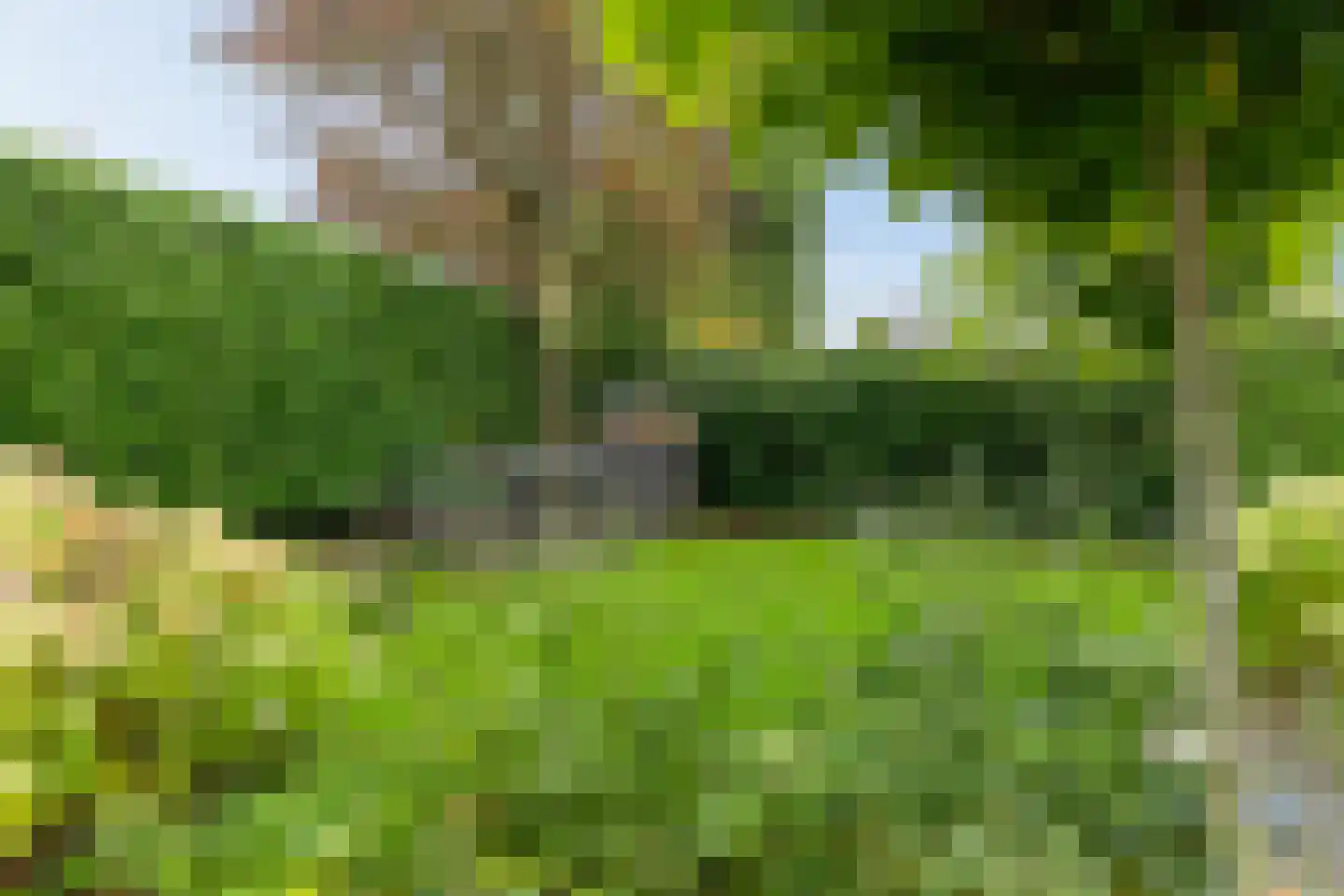 Groenkampen 9 Vries thumbnail 21