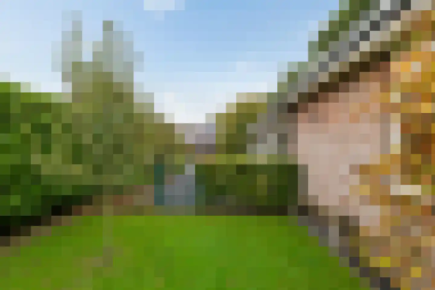 Groenkampen 9 Vries thumbnail 23