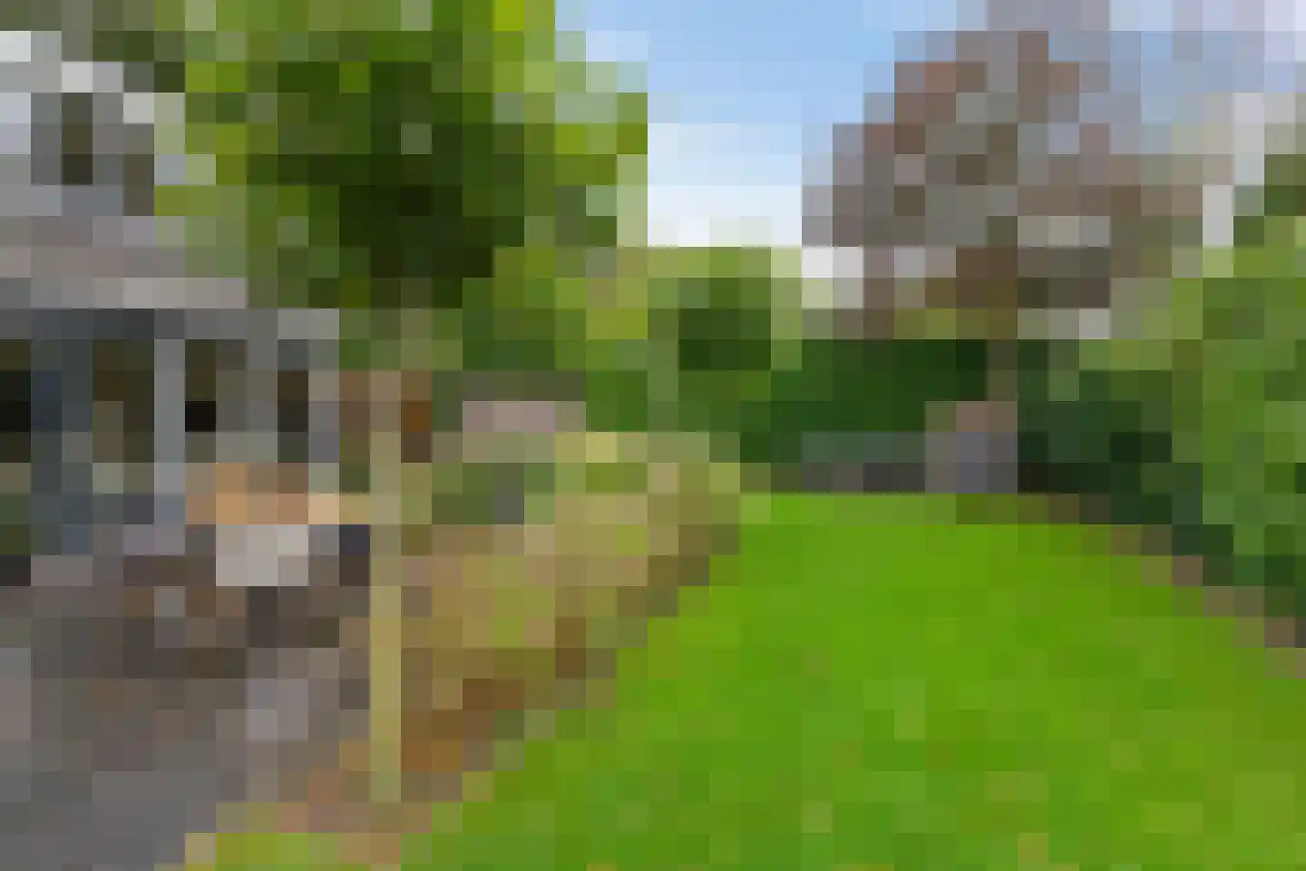 Groenkampen 9 Vries thumbnail 24