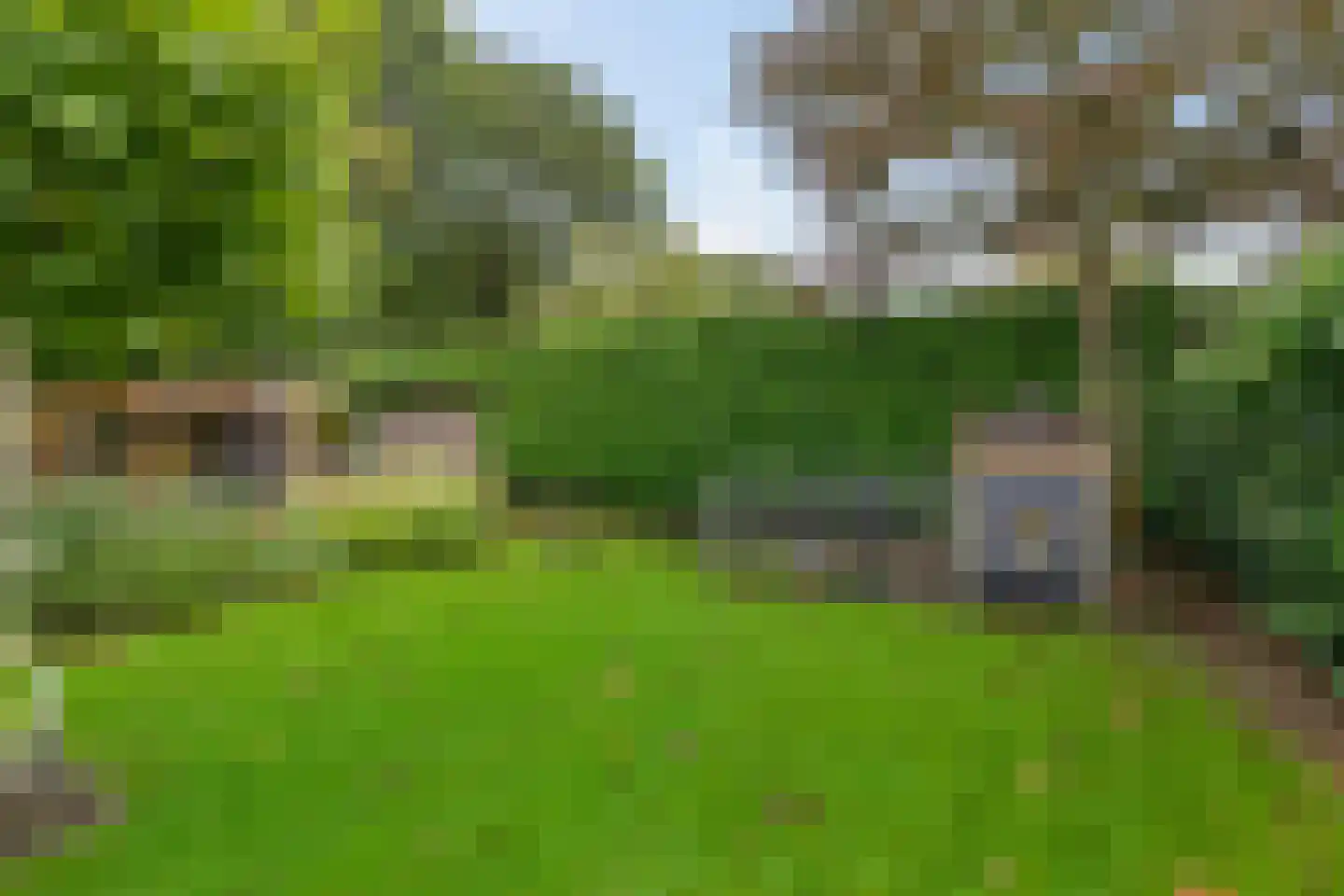 Groenkampen 9 Vries thumbnail 26