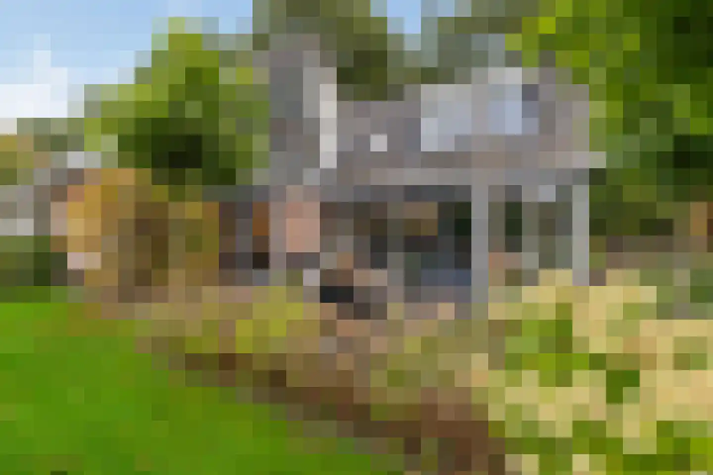 Groenkampen 9 Vries thumbnail 27