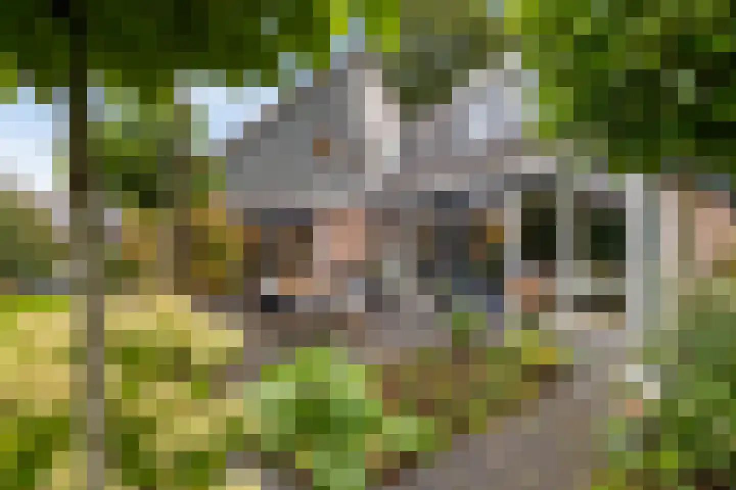 Groenkampen 9 Vries thumbnail 28