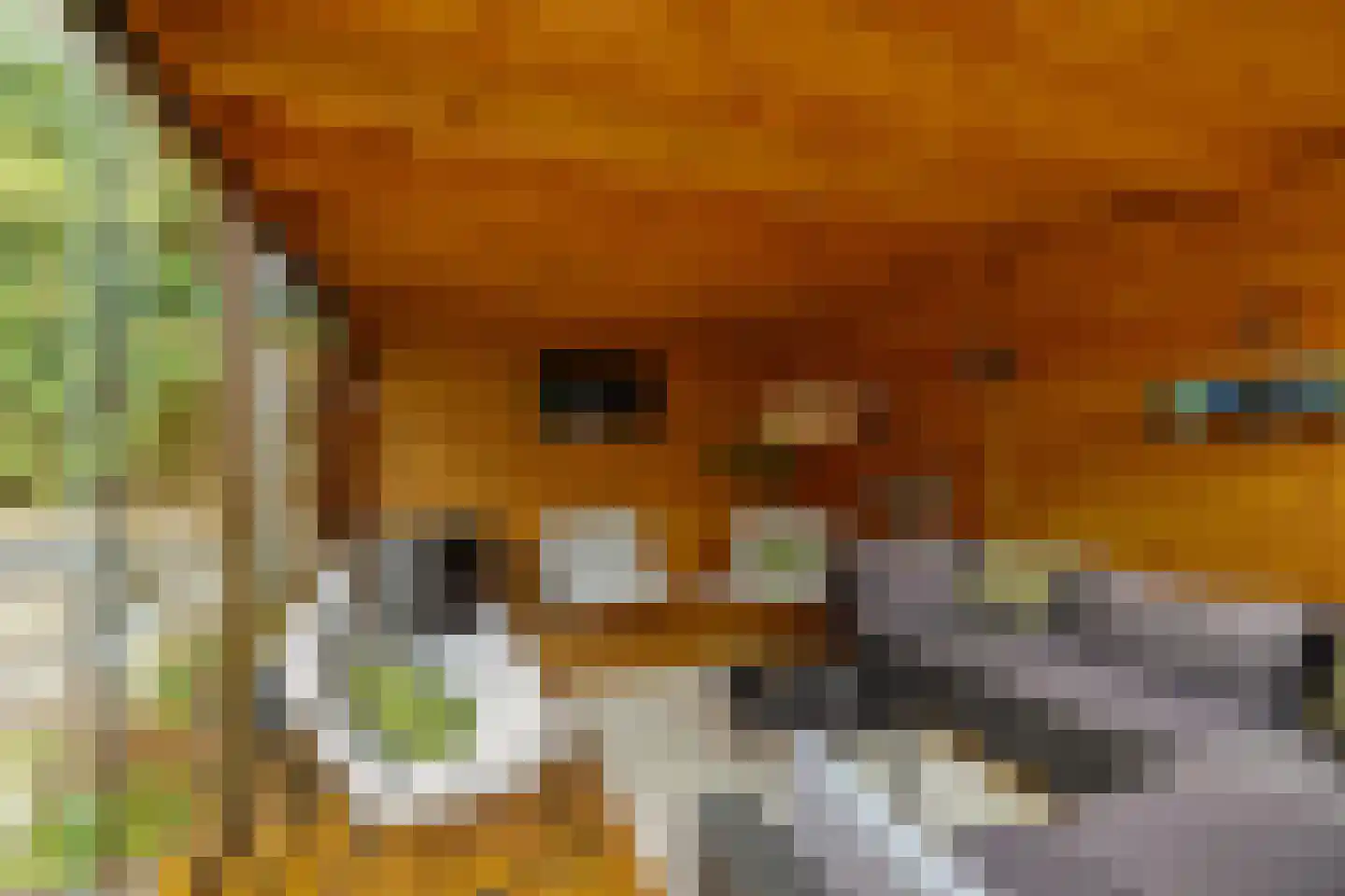 Groenkampen 9 Vries thumbnail 29
